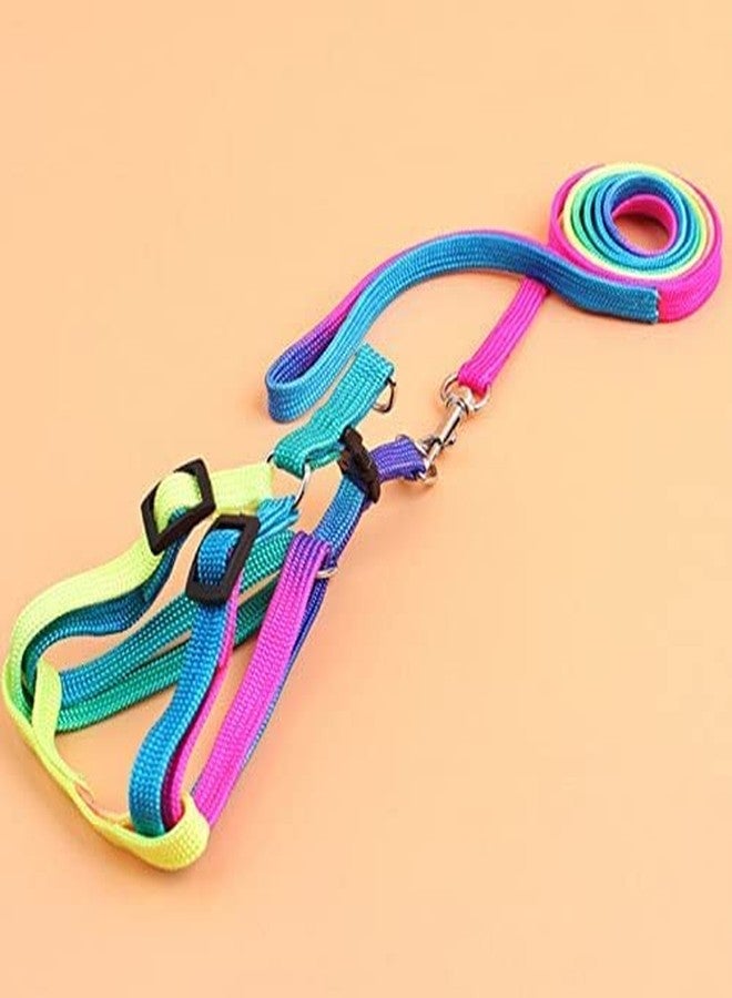 Pups&Pets Bird Rainbow Color Harness and Leash Set | Safe Adjustable Harness with Buckle | Long 47inch Anti bite Training Rope Leash for Macaw & Large Size Birds (Width - 10MM) - Image 4